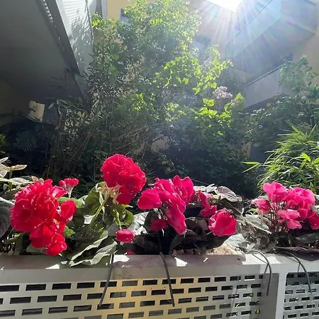 Sublime 2 P 36 M2 14 Alesia Neuf Climatise Apartment Paris