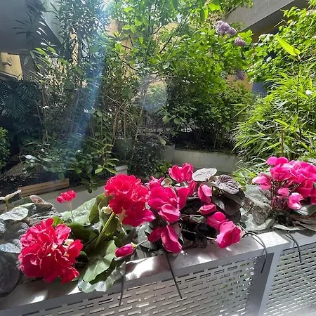 Apartment Sublime 2 P 36 M2 14 Alesia Neuf Climatise
